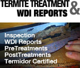 Termite Treatment and WDI Reports