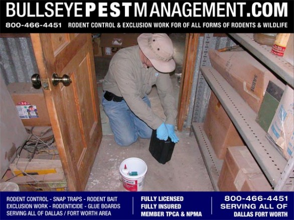Rodent Bait Station maintenance in Red Oak Texas by Bullseye Pest Management.