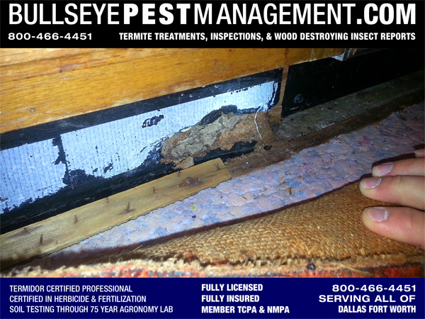 Termite Damage Inspected by Bullseye Pest Management