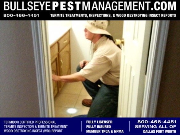 Bullseye Pest Management Inspects for Wood Destroying Insects (WDI) in Plano Texas