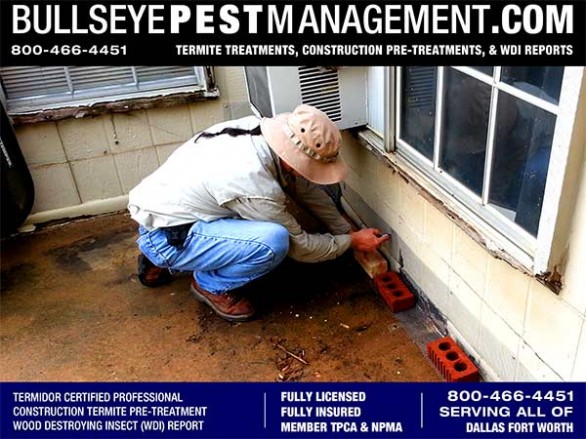 Certified Applicator and Bullseye Pest Management Owner Steve Moseley Performs Wood Destroying Insect Inspection for Termites and Other Wood Destroying Insects.
