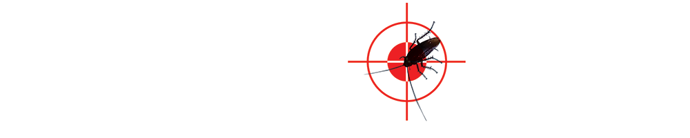 Pest Control Arlington