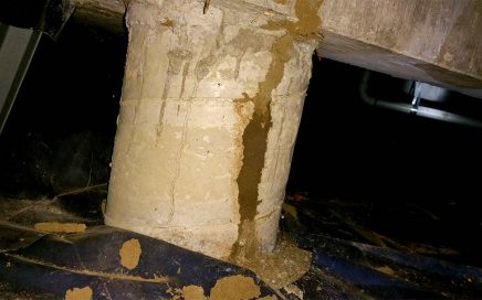 Bullseye Pest Management Termite Treatment Termite Inspection